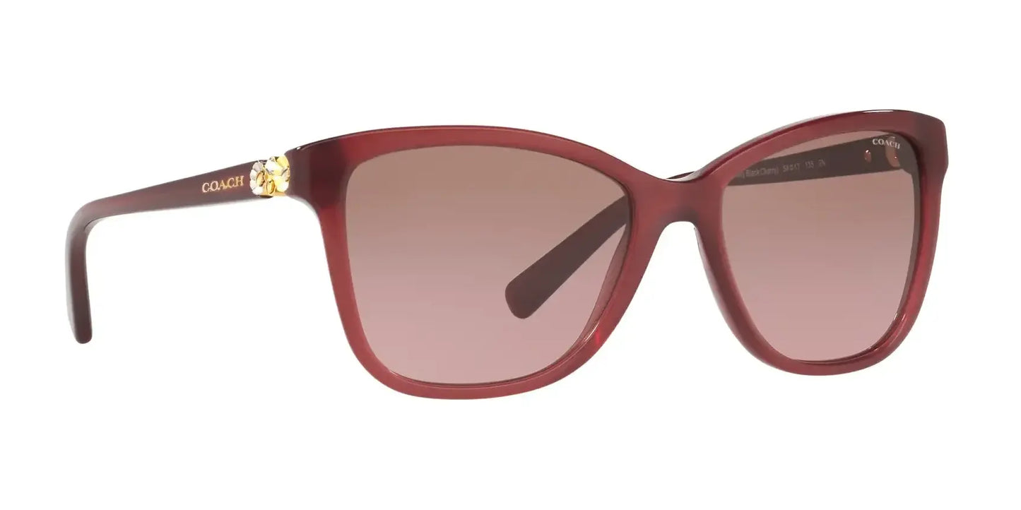 Coach L1597 HC8187B Sunglasses | Size 54