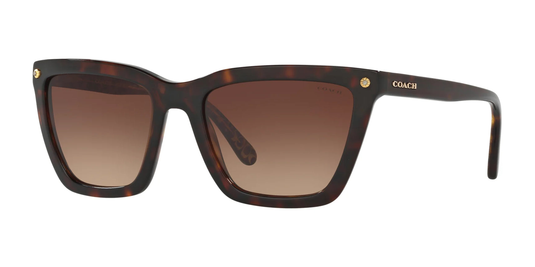Coach L1612 HC8191 Sunglasses Dark Tortoise / Dark Tortoise Gold Sig C / Smoke Gradient