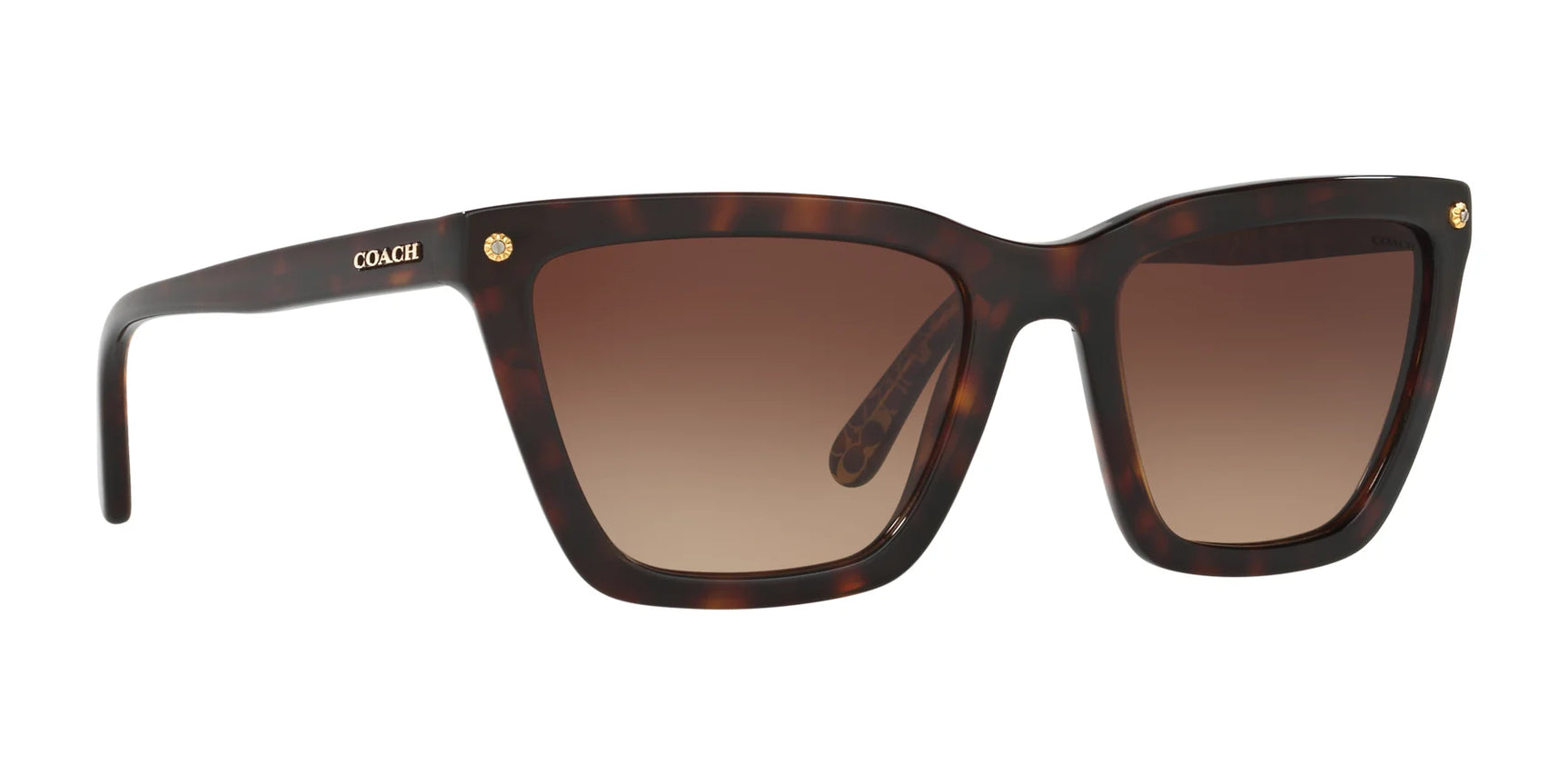 Coach L1612 HC8191 Sunglasses | Size 56
