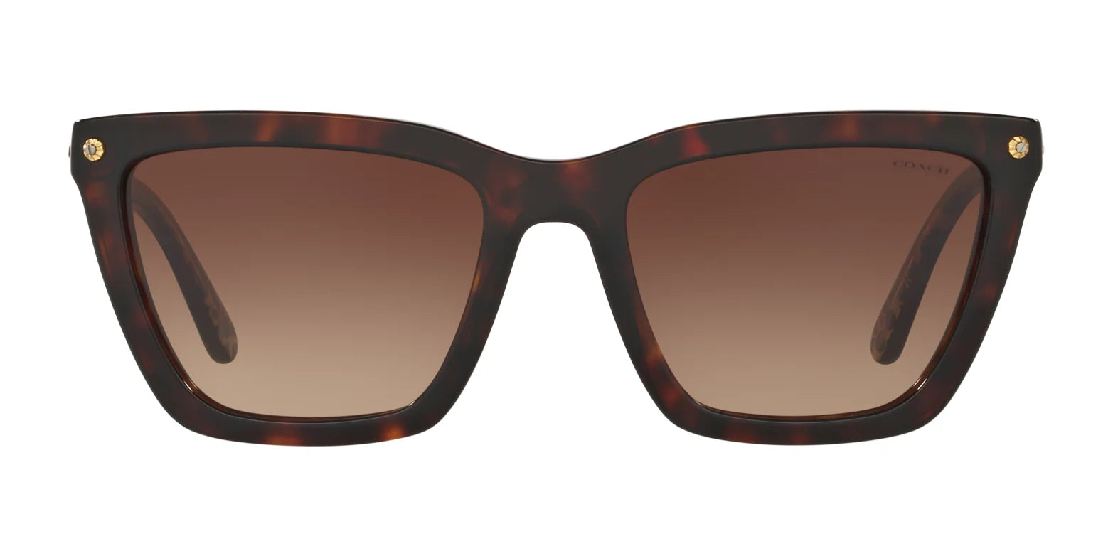 Coach L1612 HC8191 Sunglasses | Size 56
