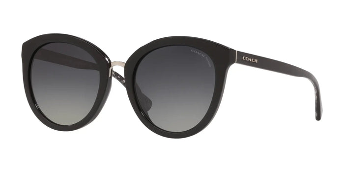 Coach L1627 HC8199D Sunglasses | Size 56 / Black №5002T3 / Grey Gradient Polar (3P 10.7%)