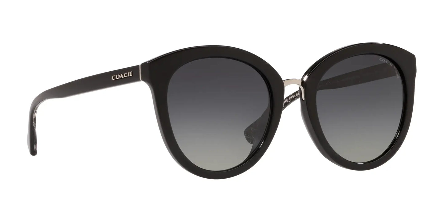 Coach L1627 HC8199D Sunglasses | Size 56