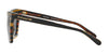 Coach L1630 HC8203 Sunglasses | Size 54 / Black Amber Glitter Varsity Stripe №544087 / Dark Grey Solid (3N 10%)