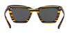Coach L1630 HC8203 Sunglasses | Size 54 / Black Amber Glitter Varsity Stripe №544087 / Dark Grey Solid (3N 10%)