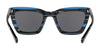 Coach L1630 HC8203 Sunglasses | Size 54 / Black Amber Glitter Varsity Stripe №544087 / Dark Grey Solid (3N 10%)