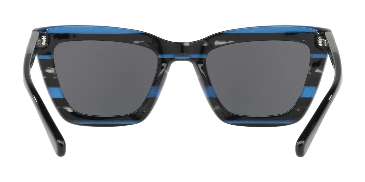 Coach L1630 HC8203 Sunglasses | Size 54
