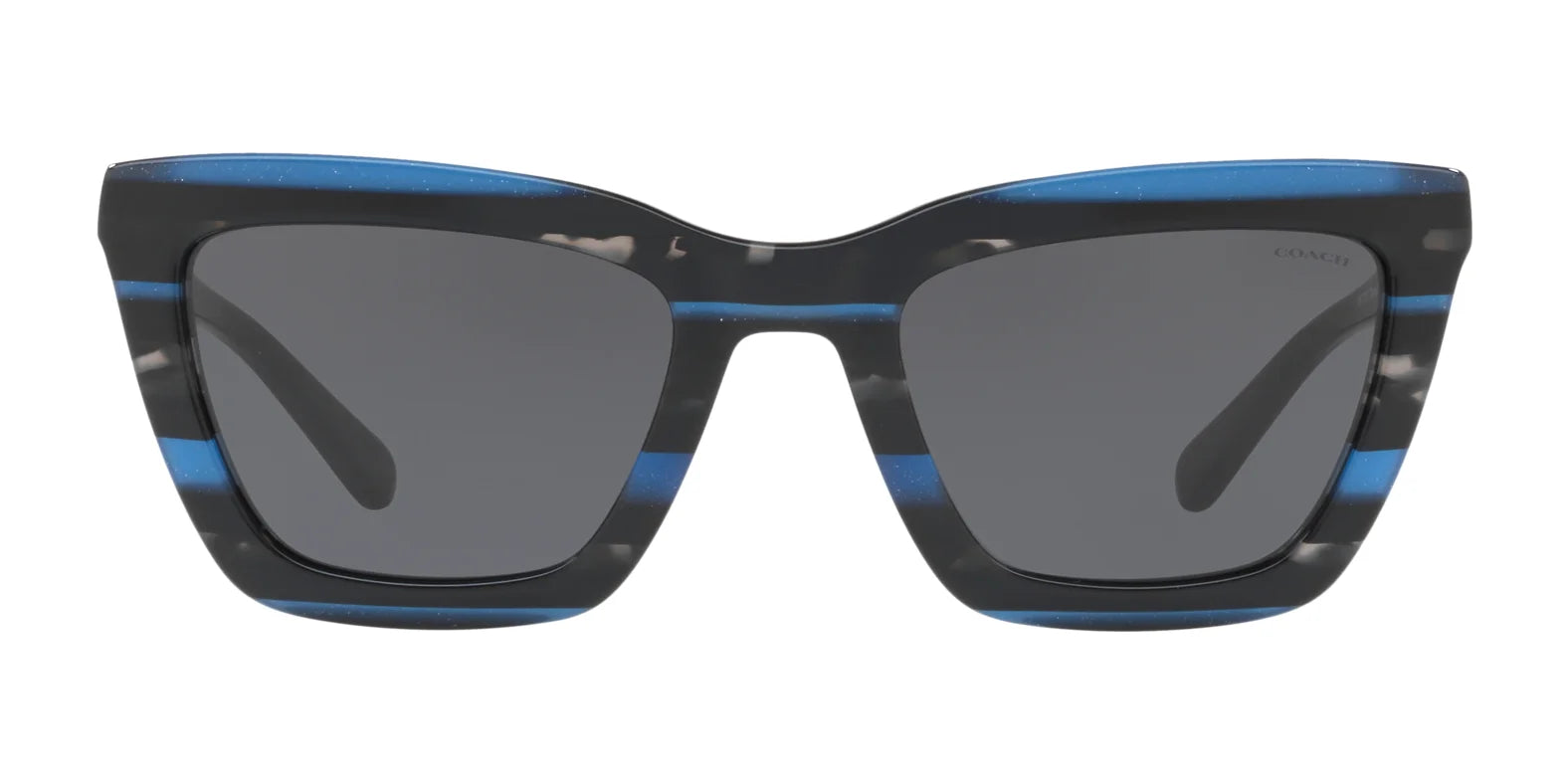Coach L1630 HC8203 Sunglasses | Size 54