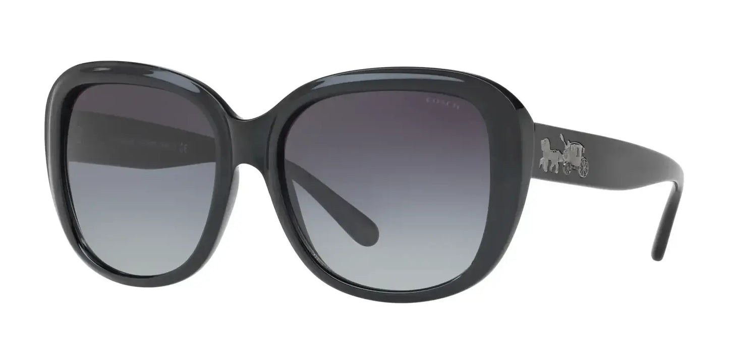 Coach L1634 HC8207 Sunglasses Black / Grey Gradient