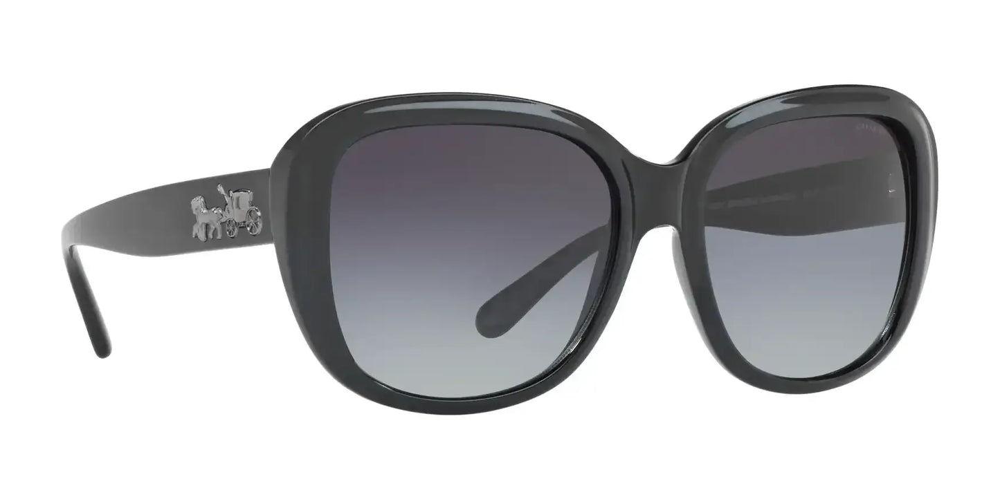 Coach L1634 HC8207 Sunglasses | Size 57