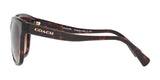 Coach L1656 HC8219 Sunglasses | Size 56