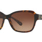 Dark Tortoise №550713