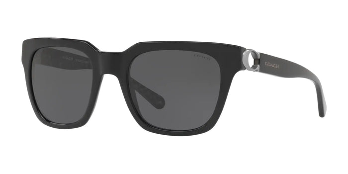 Coach L1029 HC8240F Sunglasses | Size 52 / Black №551087 / Dark Grey (3N 10%)
