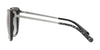 Coach L1041 HC8246F Sunglasses | Size 55 / Black №500211 / Grey Gradient (2N 30.0%)