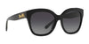 Coach L1083 HC8264 Sunglasses | Size 56 / Petal Tortoise / Purple Clear Gradient (2N 29.6%) №57398H