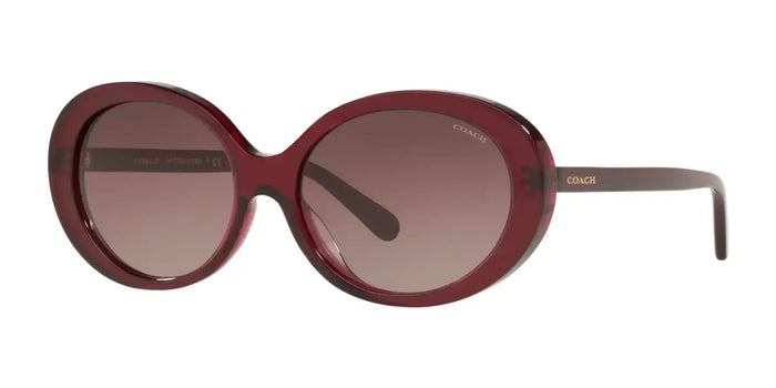 Coach L1100 HC8270U Sunglasses | Size 55 / Transparent Burgundy / Burgundy Gradient (3N 15%) №5557E2