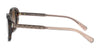 Coach L1114 HC8278 Sunglasses | Size 53 / Dark Tortoise / Brown Gradient (3N 10.7%) №512013