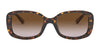Coach L1114 HC8278 Sunglasses | Size 53 / Dark Tortoise / Brown Gradient (3N 10.7%) №512013