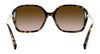 Coach L1116 HC8280U Sunglasses | Size 57 / Dark Tortoise / Brown Gradient (3N 10.7%) №512013