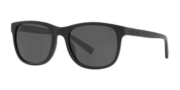 Coach L1119 HC8283U Sunglasses | Size 55 / Black №500287 / Dark Grey (3N 9.3%)