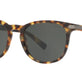Tokyo Tortoise №517171