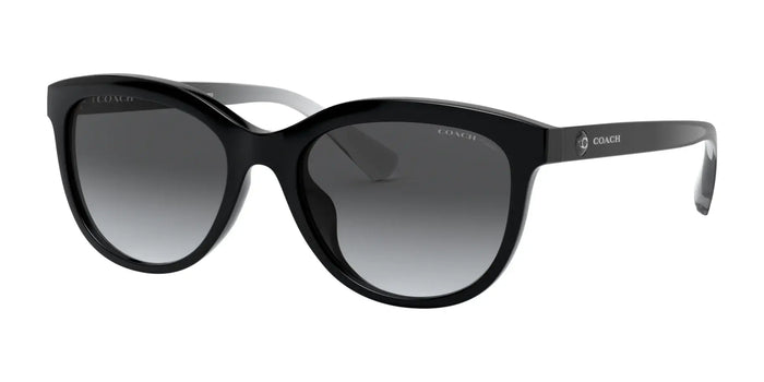 Coach L1137 HC8285U Sunglasses | Size 56 / Black / Light Grey Gradient Dark Grey (Polarized) (3P 12%) №5002T3