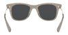 Coach L1135 HC8290 Sunglasses | Size 50 / Grey Glitter Signature C №558887 / Grey (3N 10%)