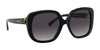 Coach L1144 HC8292 Sunglasses | Size 56 / Black / Dark Grey Gradient (3N 13.2%) №50028G