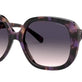 Purple Tortoise