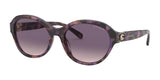 Coach L1139 HC8293F Sunglasses Purple Tortoise / Purple Pink Gradient