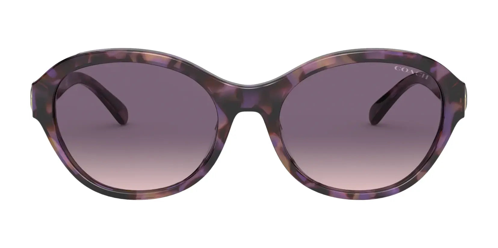 Coach L1139 HC8293F Sunglasses | Size 57