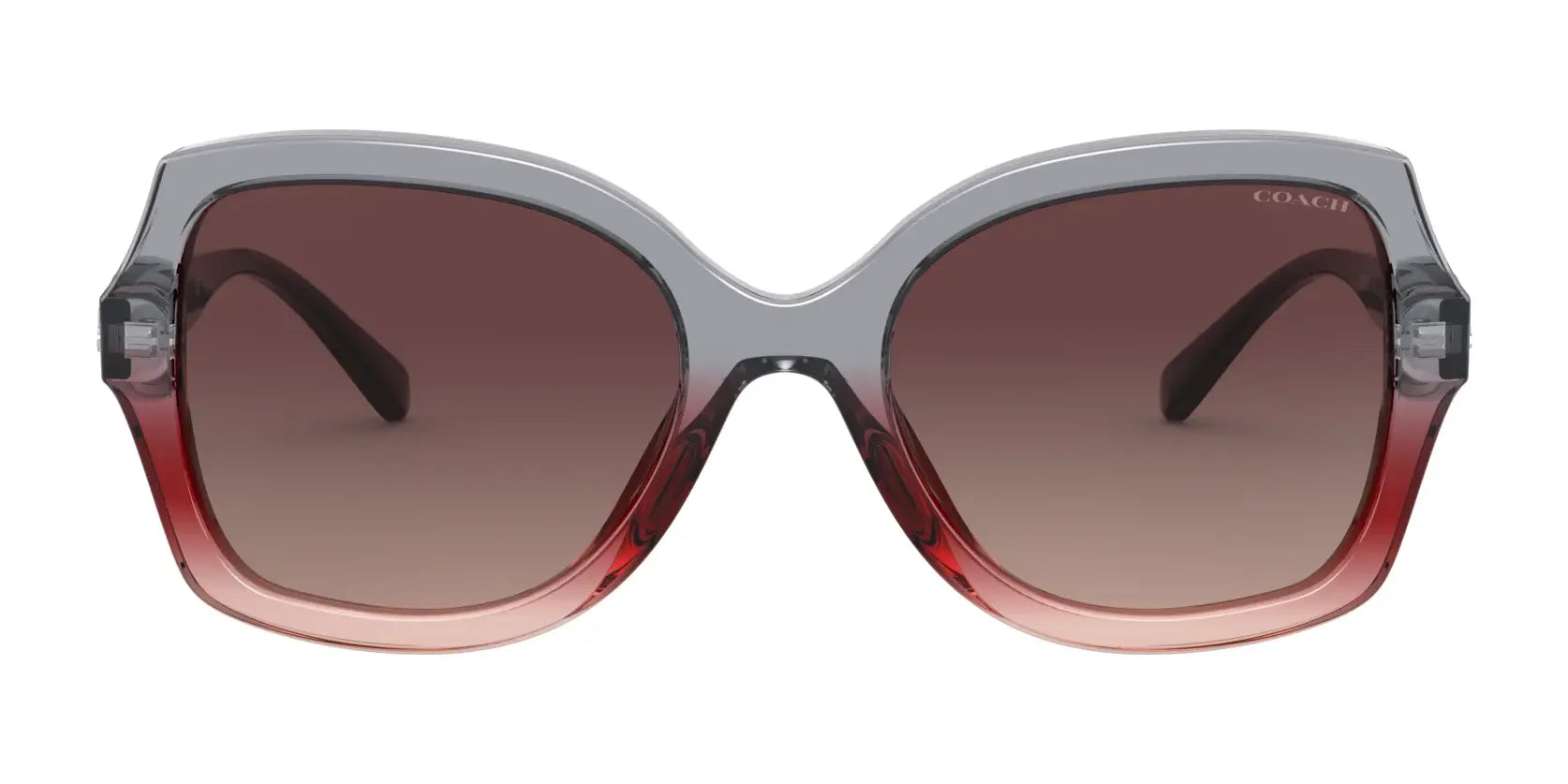 Coach L1147 HC8295 Sunglasses | Size 56