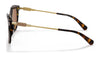 Coach L1168 HC8305 Sunglasses | Size 57 / Dark Tortoise / Brown (3N 15.3%) №512073
