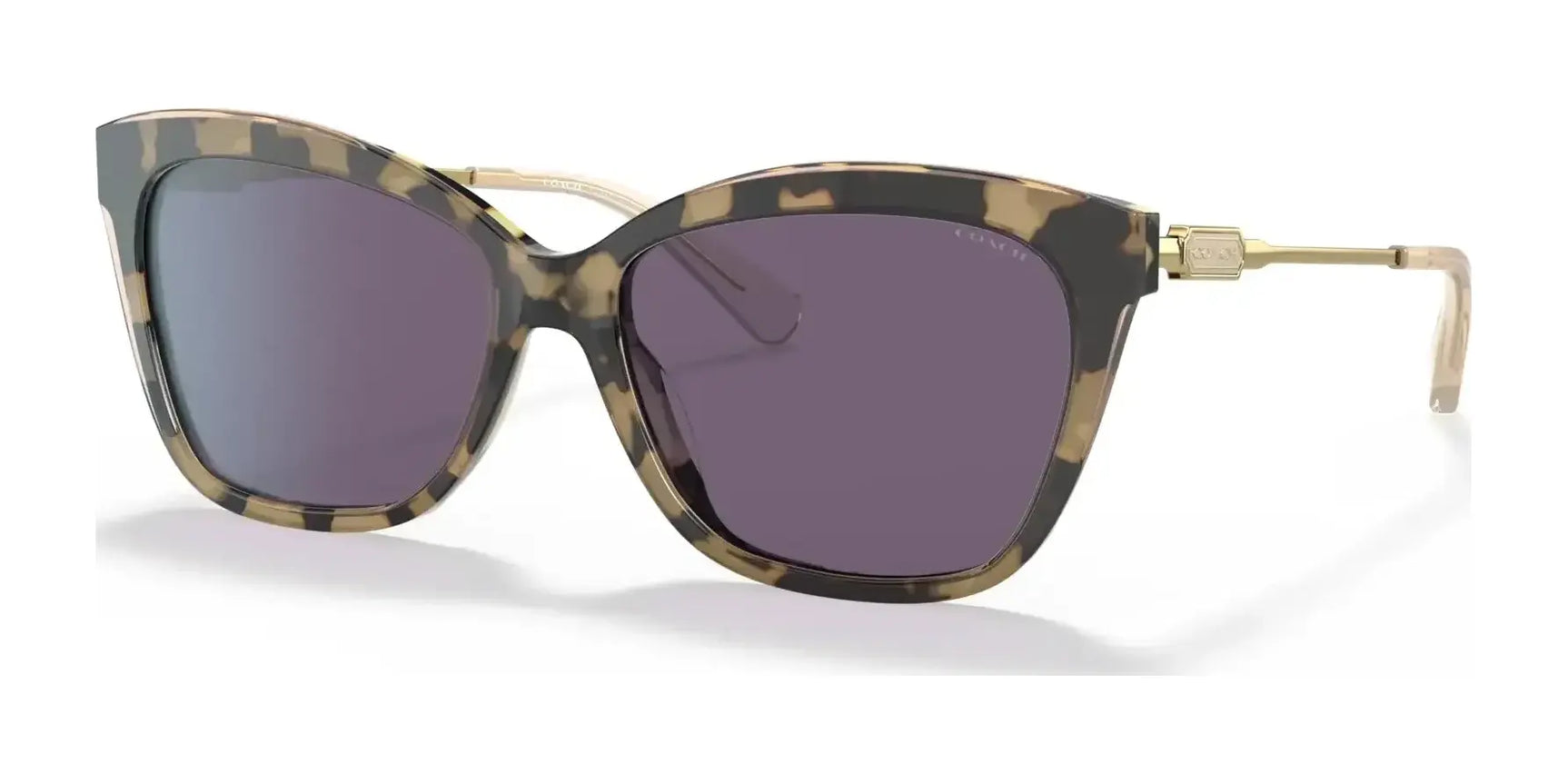 Coach L1160 HC8305F Sunglasses Nude Tortoise / Purple