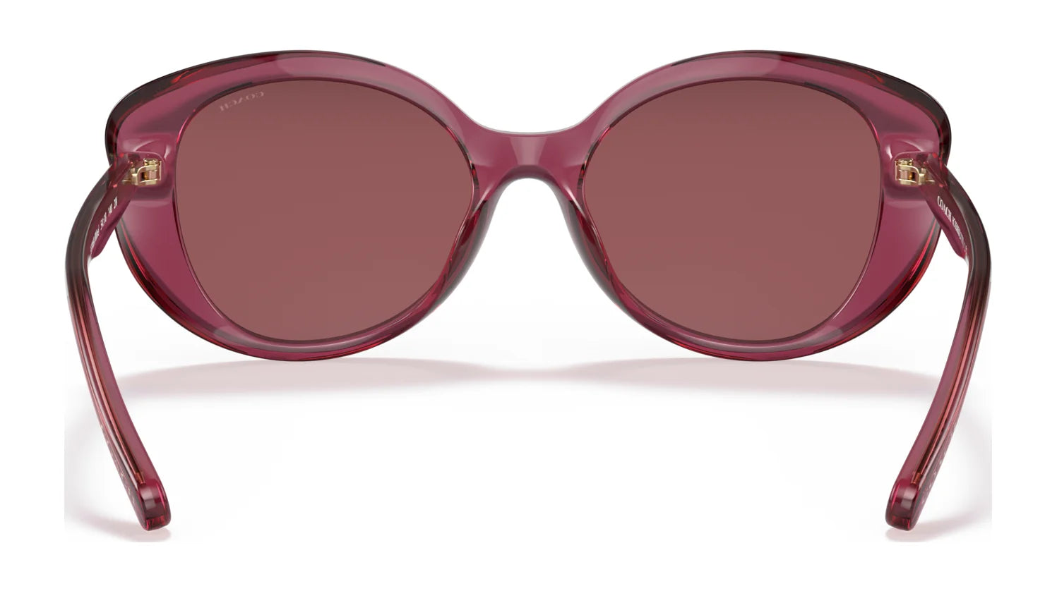 Coach L1171 HC8306U Sunglasses | Size 54