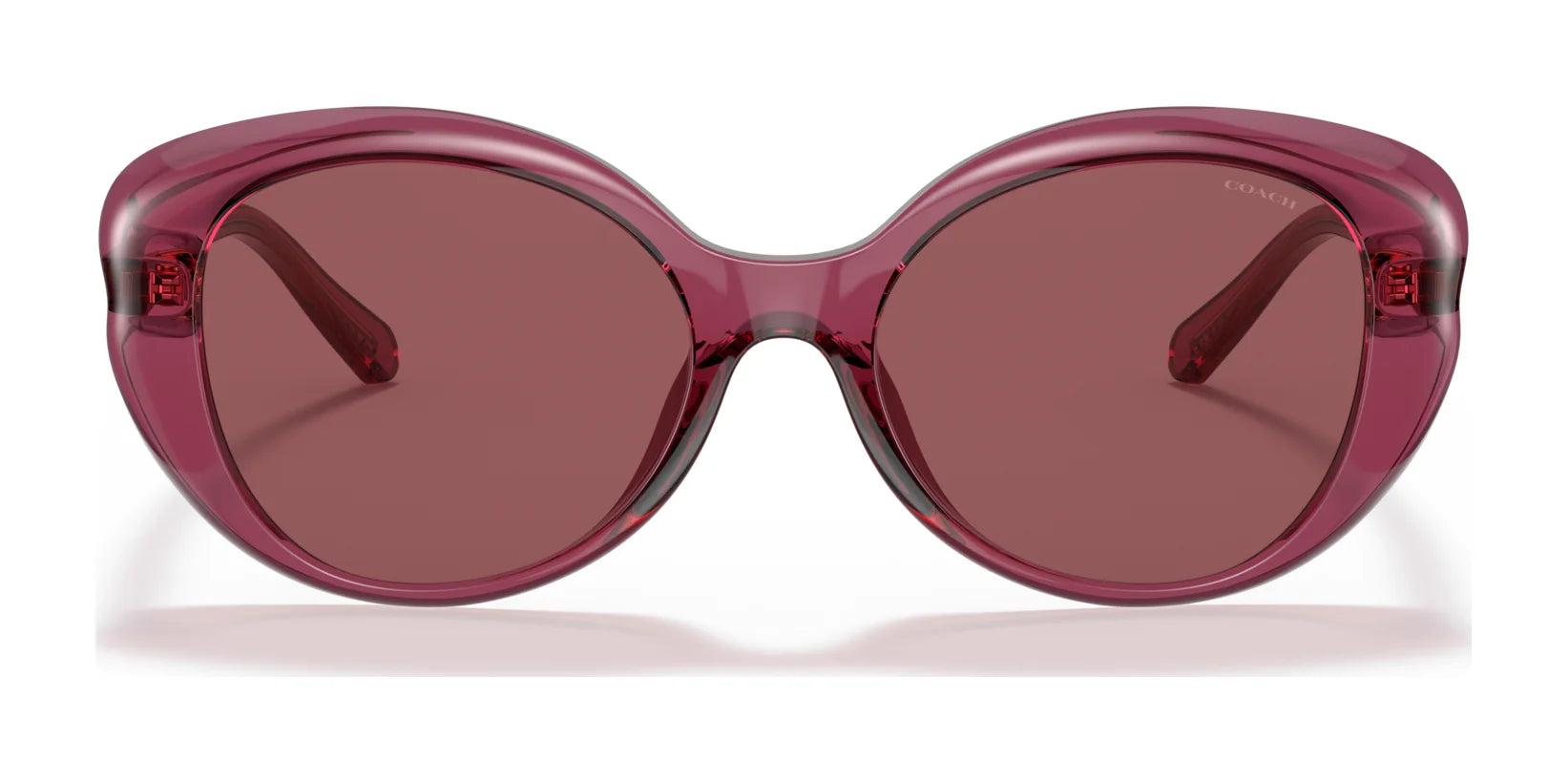 Coach L1171 HC8306U Sunglasses | Size 54