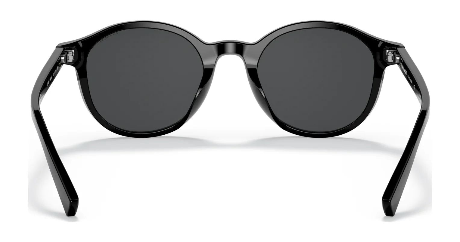 Coach C2094 HC8312U Sunglasses | Size 51