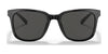 Coach C2095 HC8313U Sunglasses | Size 54 / Amber Horn №558171 / Dark Green Solid (3N 9.4%)