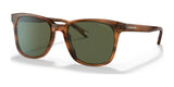 Coach C2095 HC8313U Sunglasses Amber Horn / Dark Green Solid