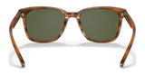 Coach C2095 HC8313U Sunglasses | Size 54