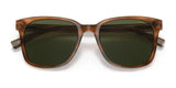 Coach C2095 HC8313U Sunglasses | Size 54