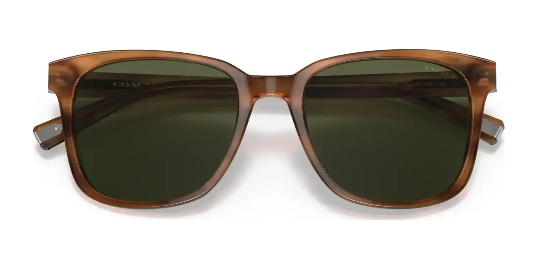 Coach C2095 HC8313U Sunglasses | Size 54