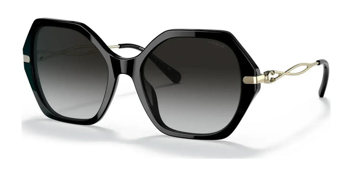 Coach C3504 HC8315F Sunglasses | Size 59 / Black №50028G / Grey Gradient (3N 15.6%)