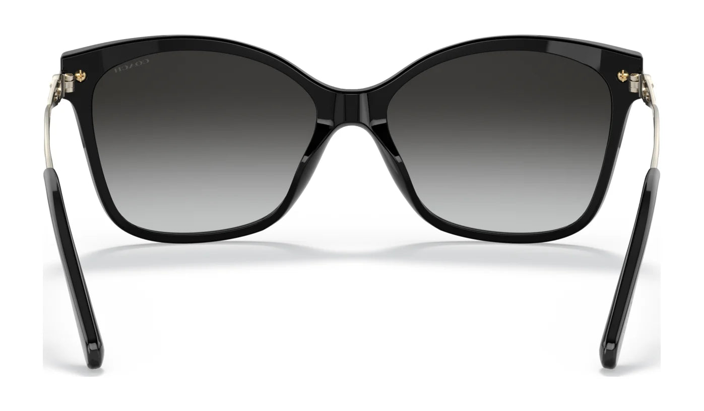 Coach C3446 HC8316 Sunglasses | Size 58