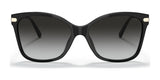 Coach C3446 HC8316 Sunglasses | Size 58