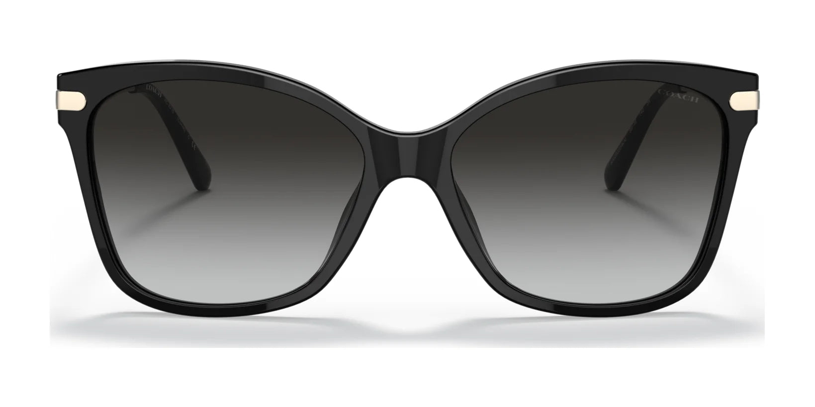 Coach C3446 HC8316 Sunglasses | Size 58