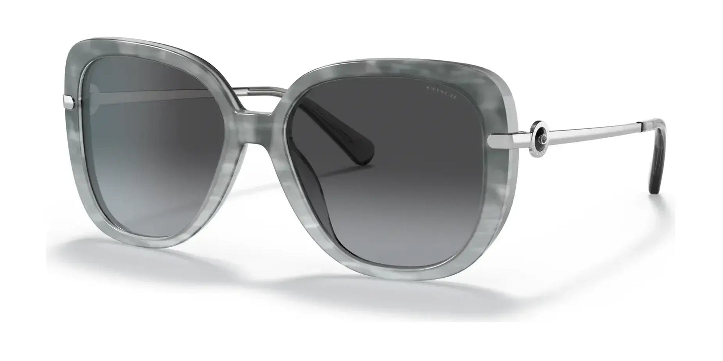 Coach C6180 HC8320 Sunglasses Grey Tortoise Gradient / Grey Gradient