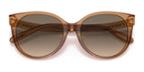 Coach C6181 HC8321 Sunglasses | Size 55