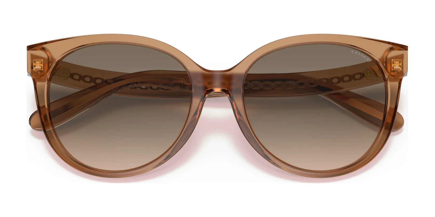 Coach C6181 HC8321 Sunglasses | Size 55