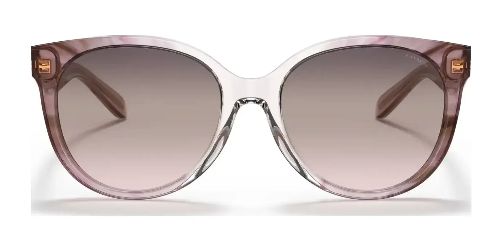 Coach C6181 HC8321 Sunglasses | Size 55