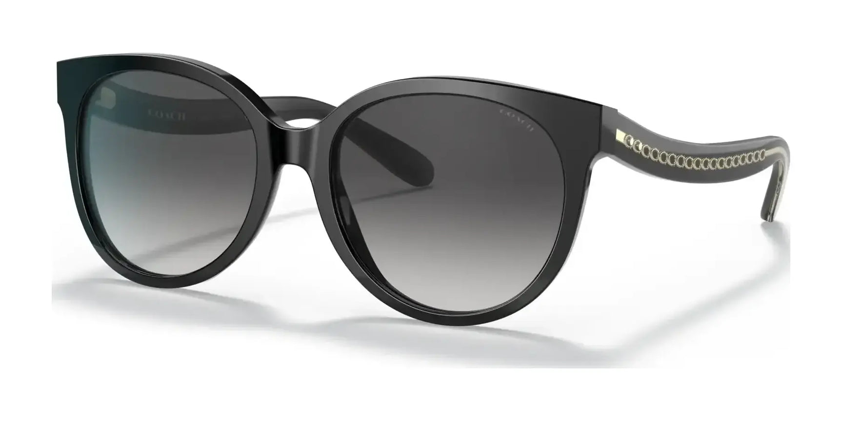 Coach C6182 HC8321F Sunglasses Black / Light Grey Black Gradient